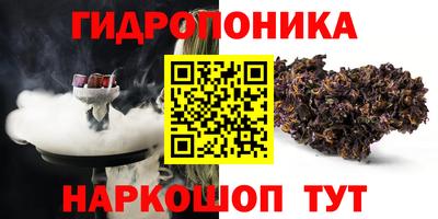 2c-b Обь