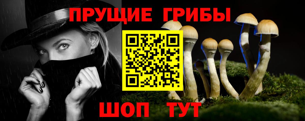 Галлюциногенные грибы MAGIC MUSHROOMS  Вход с VPN  Сургут 
