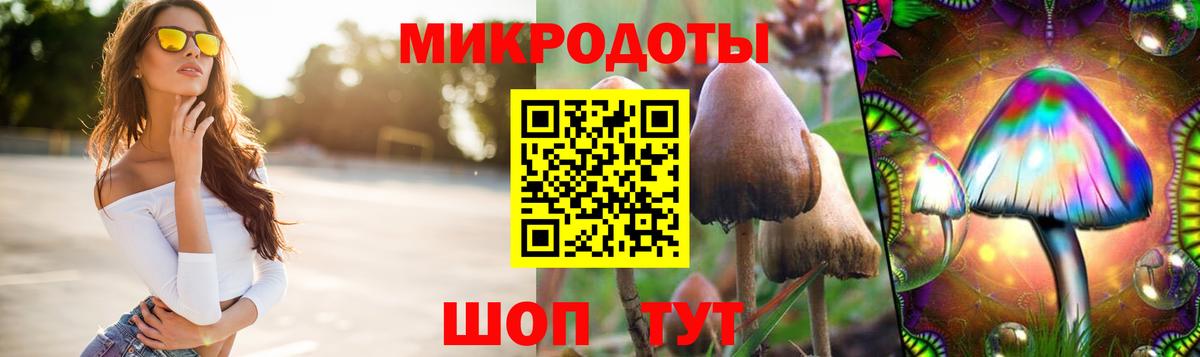 Псилоцибиновые грибы мицелий Сургут